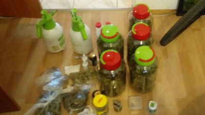 6 kg marihuany i&nbsp;75 krzaków konopi w&nbsp;gminie Tykocin