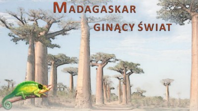 Madagaskar w&nbsp;kampusie