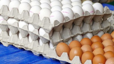 Jaja są coraz droższe. Ceny poszybowały w&nbsp;górę