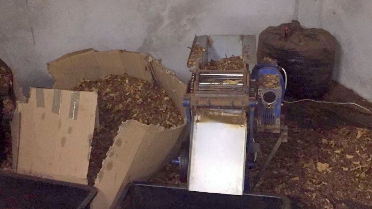 VIDEO. 3,5 tony tytoniu w&nbsp;nielegalnej krajalni