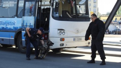 Szkolenie policyjnych psów na&nbsp;białostockim dworcu PKS