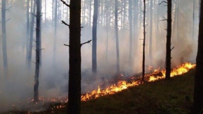 W podlaskich lasach panuje najwyższy stopień zagrożenia pożarowego