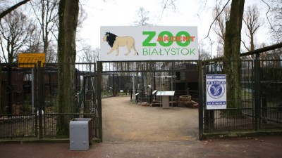 Pożegnanie lata z&nbsp;Akcent ZOO