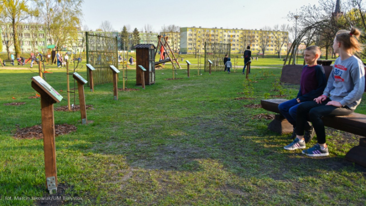 Miejski sad edukacyjny /fot. M. Jakowiak - UM Białystok/ 