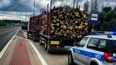 Niebezpieczny transport drewna
