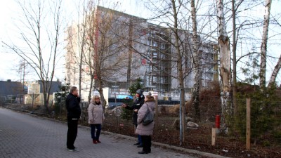 Ulica Ukośna: uratować drzewa, które jeszcze zostały