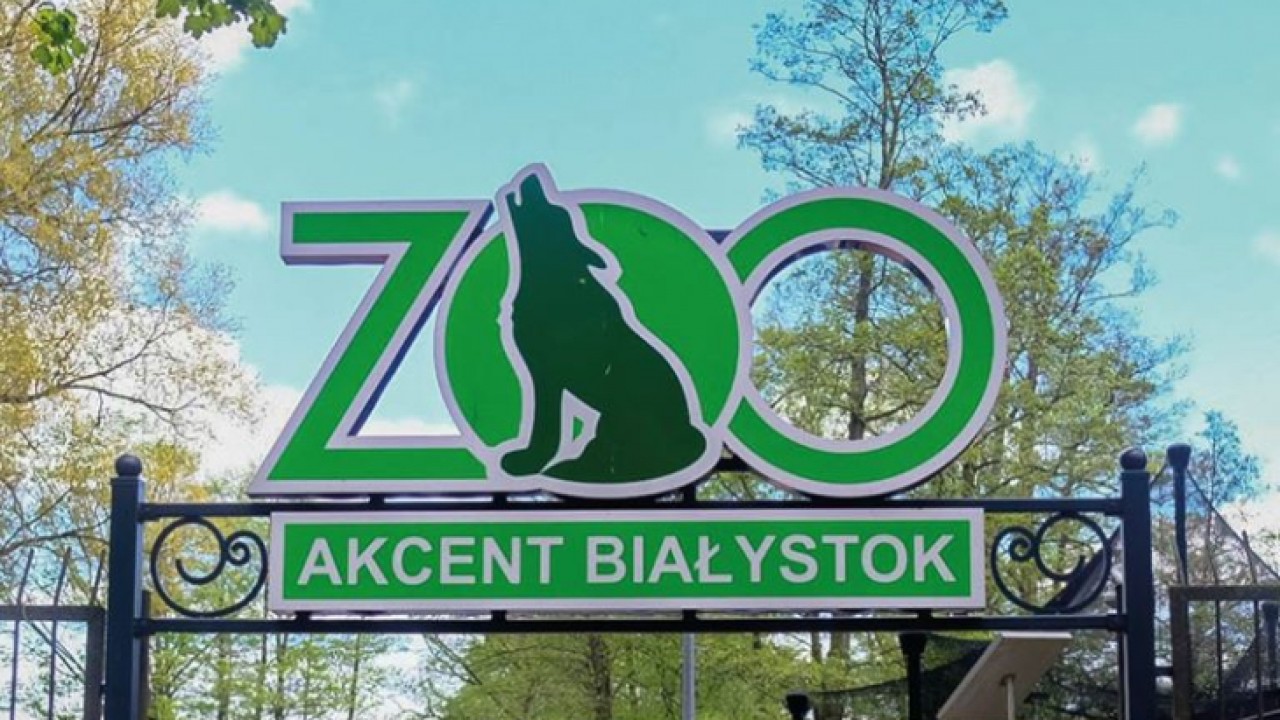 Źródło: UM Białystok