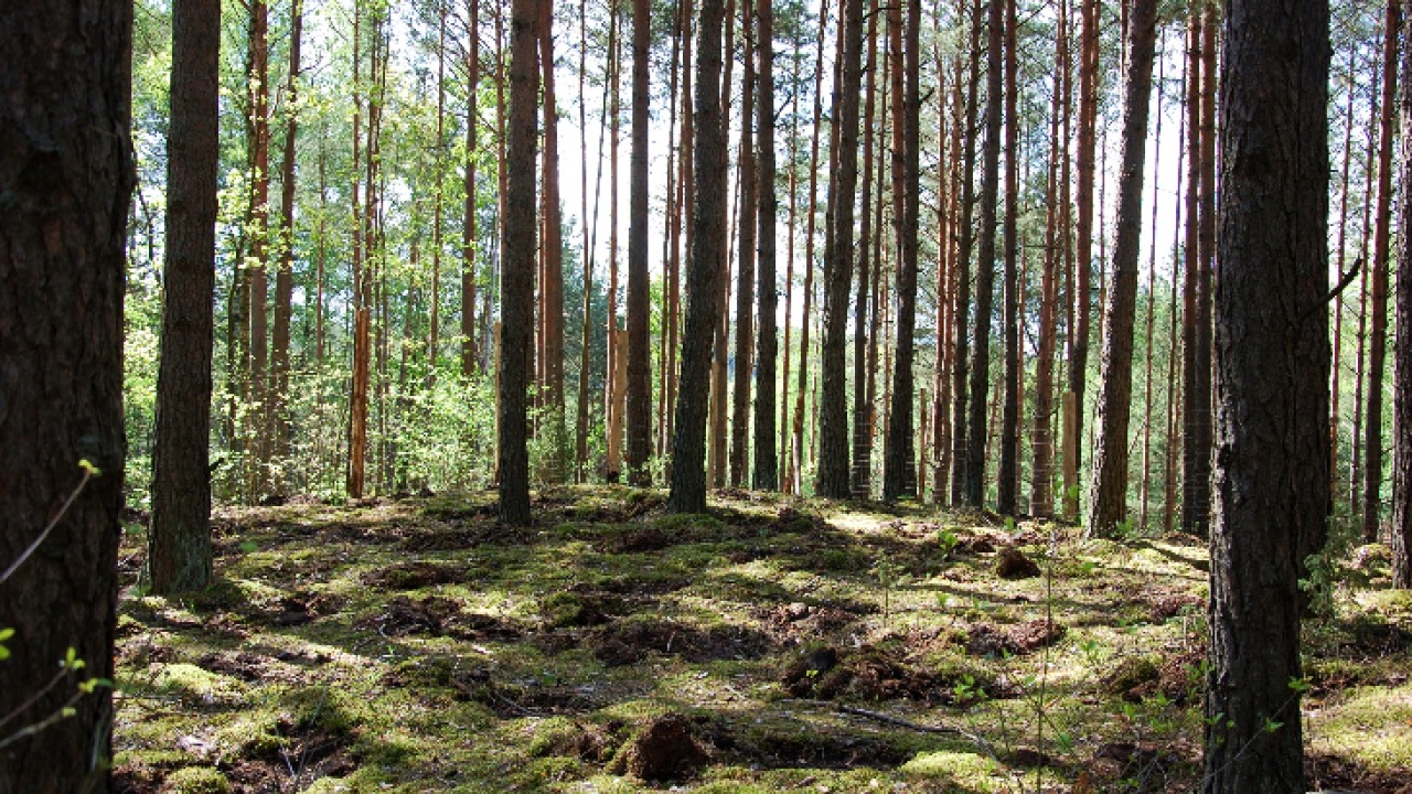 Źródło: UM Białystok