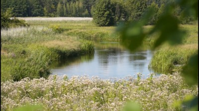 Nad Biebrzą wznowiono akcję poszukiwawczą