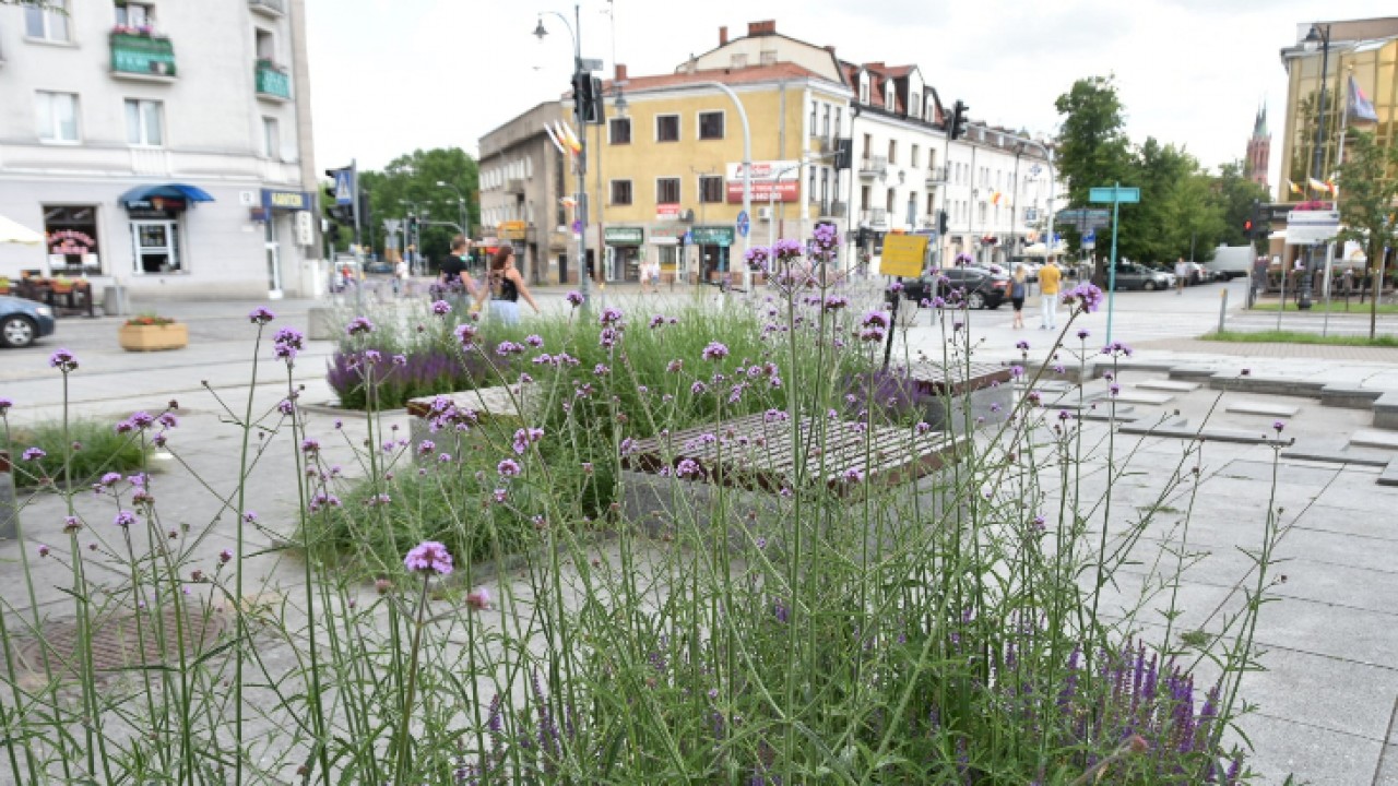 Źródło: UM Białystok