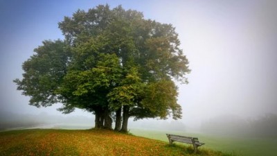 KALENDARIUM, 10 października, sobota dobrze rozegrana