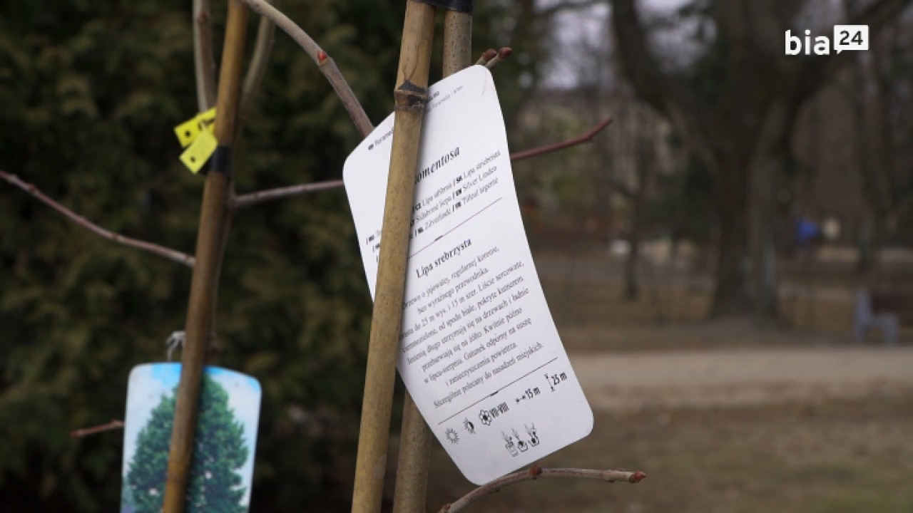 VIDEO. Drzewka do&nbsp;wzięcia w&nbsp;pierwszy dzień wiosny. Niedzielna akcja w&nbsp;Białymstoku
