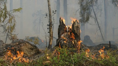 Samopodpalenie w&nbsp;Świętej Wodzie. Wiadomo, kim była kobieta