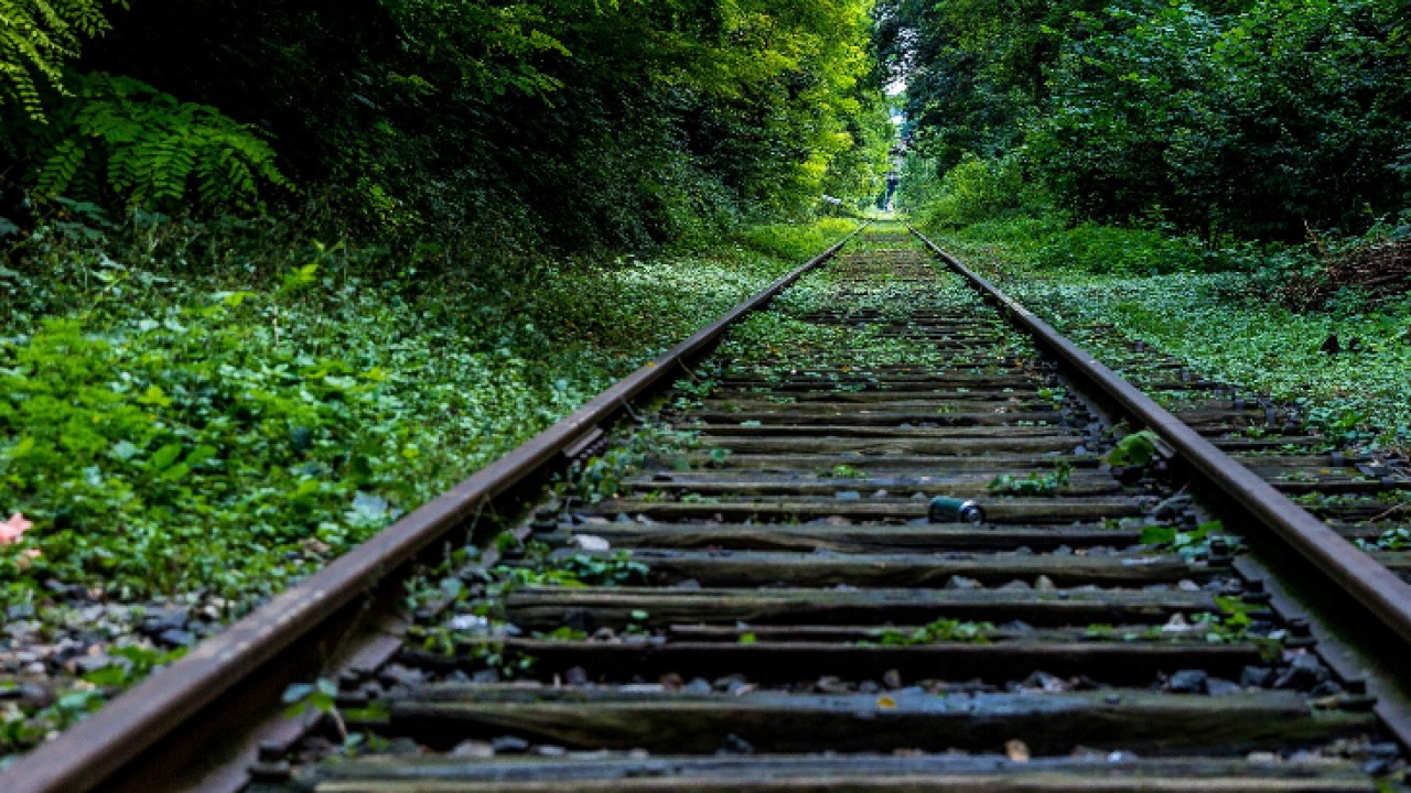 Źródło: pixabay.com