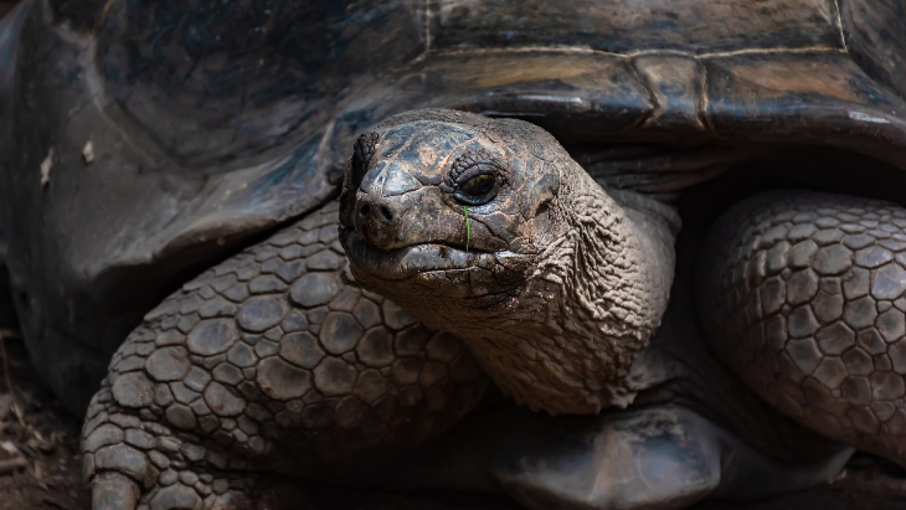 Źródło: pixabay.com