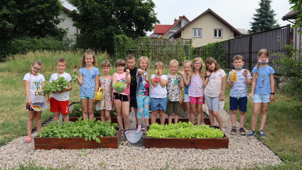 Pierwszaki w swoim szkolnym ogródku warzywnym 