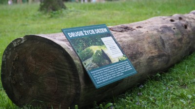 Festyn z&nbsp;atrakcjami "Drugie życie drzew"