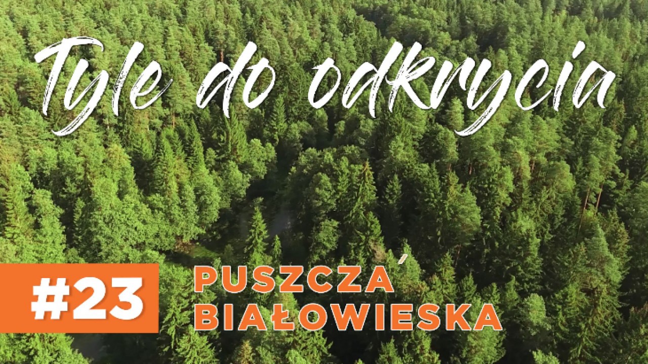 TYLE DO&nbsp;ODKRYCIA... #23 Puszcza Białowieska