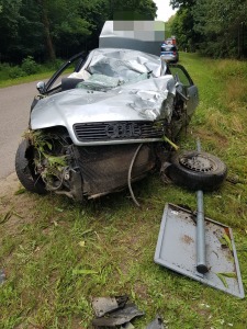 Zderzenie z&nbsp;łosiem. Kierowca ranny