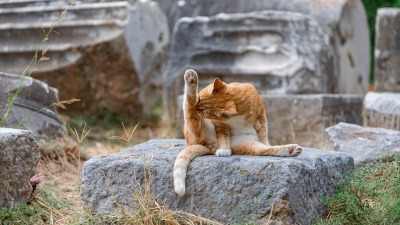 KALENDARIUM. 7 października - czwartek proponuje relaks... w&nbsp;wannie