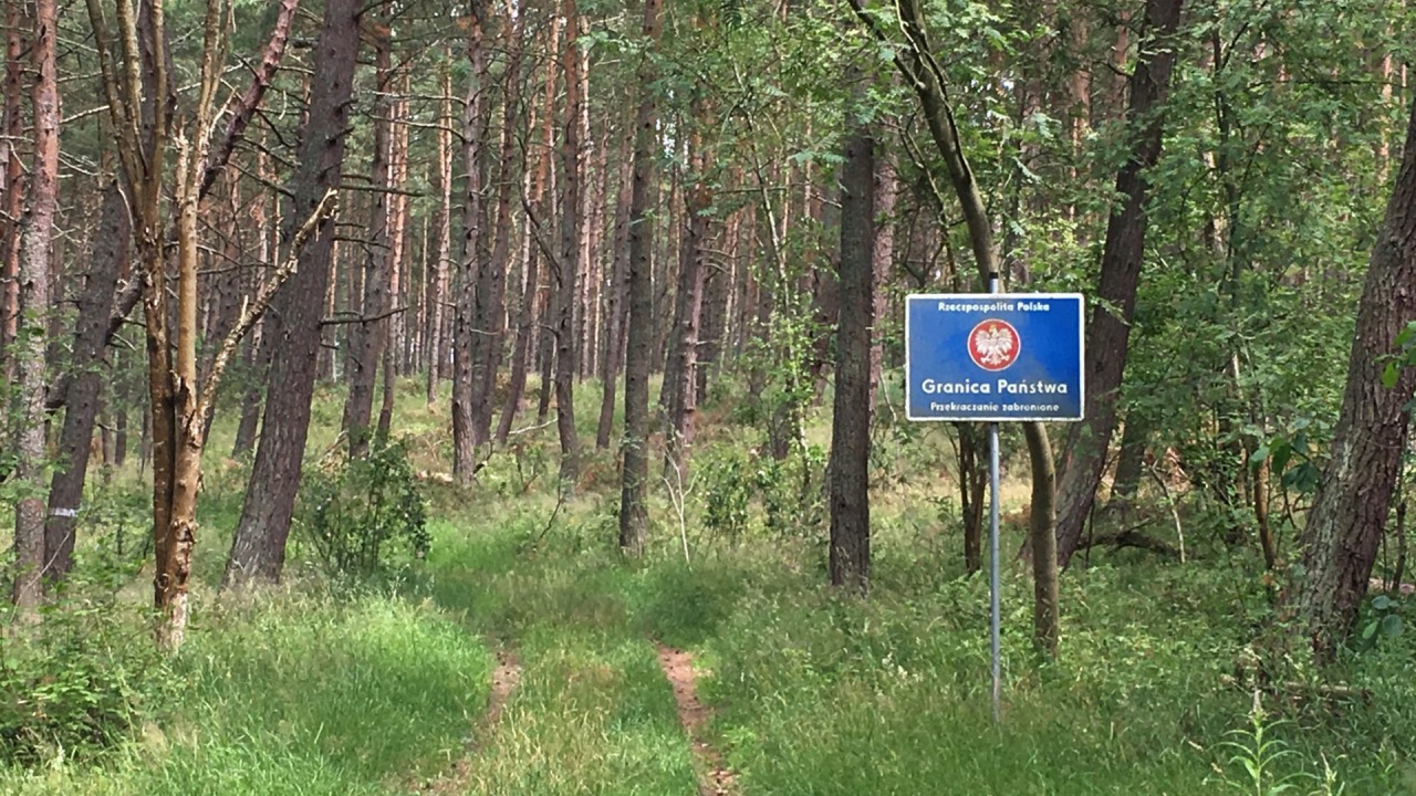 Radni Białegostoku przyjęli stanowisko ws. sytuacji na granicy z Białorusią [fot. twitter.com/Straz_Graniczna]