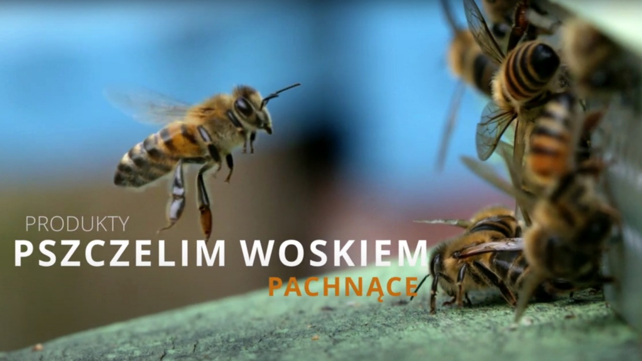 VIDEO. Produkty pszczelim woskiem pachnące
