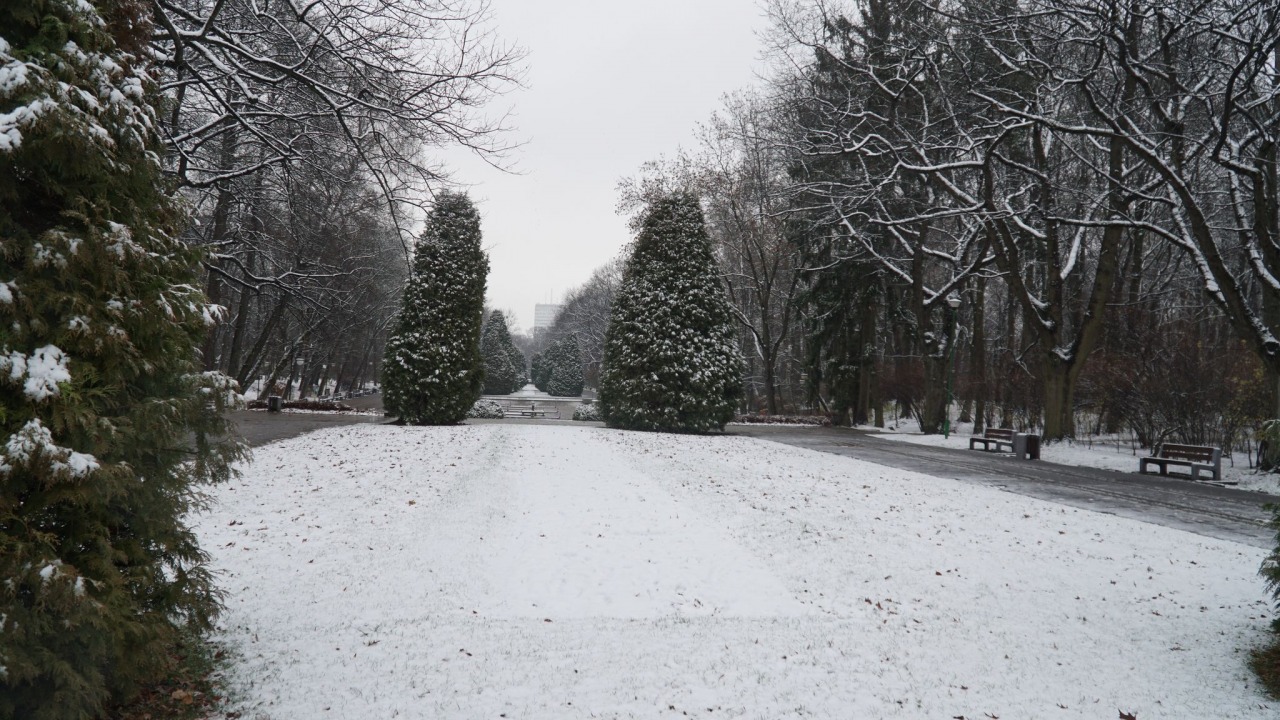 Dziś w Białymstoku spadł pierwszy śnieg [fot. BIA24]