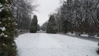 W Białymstoku spadł pierwszy śnieg