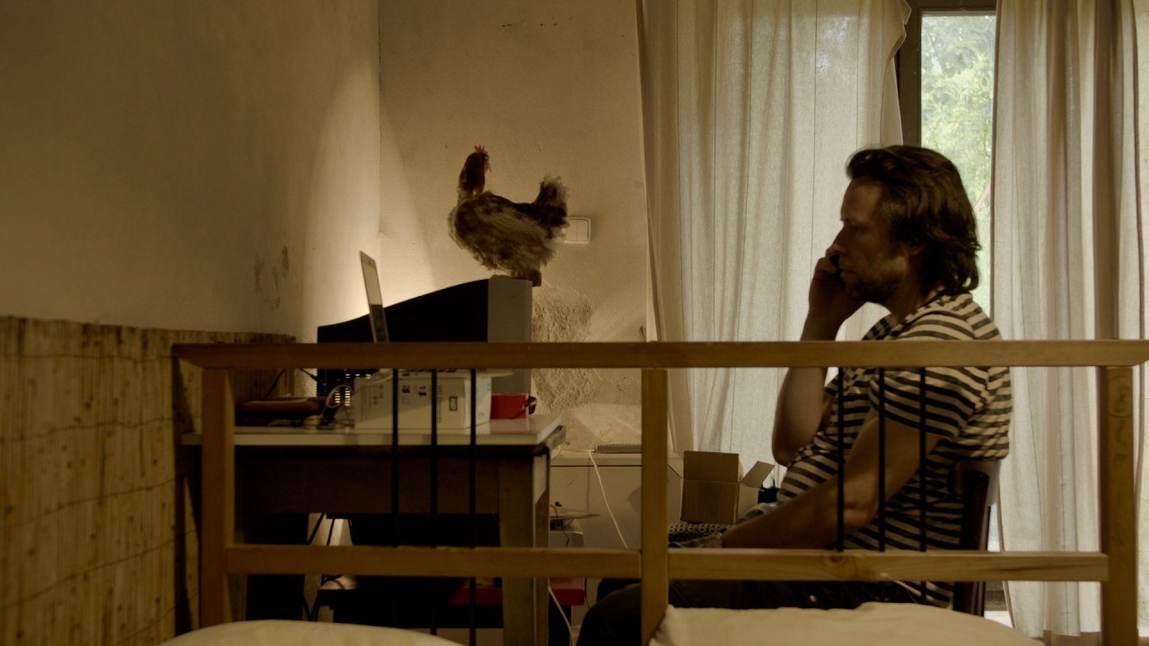 Kadr z filmu: "Kury, wirus i my / Chickens, virus and us" [fot. materiały BOK]