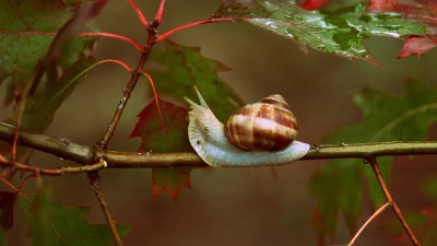 KALENDARIUM. 11 września - niedziela jesieni pełna