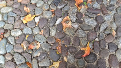 KALENDARIUM. 12 września - poniedziałek wybrukowany