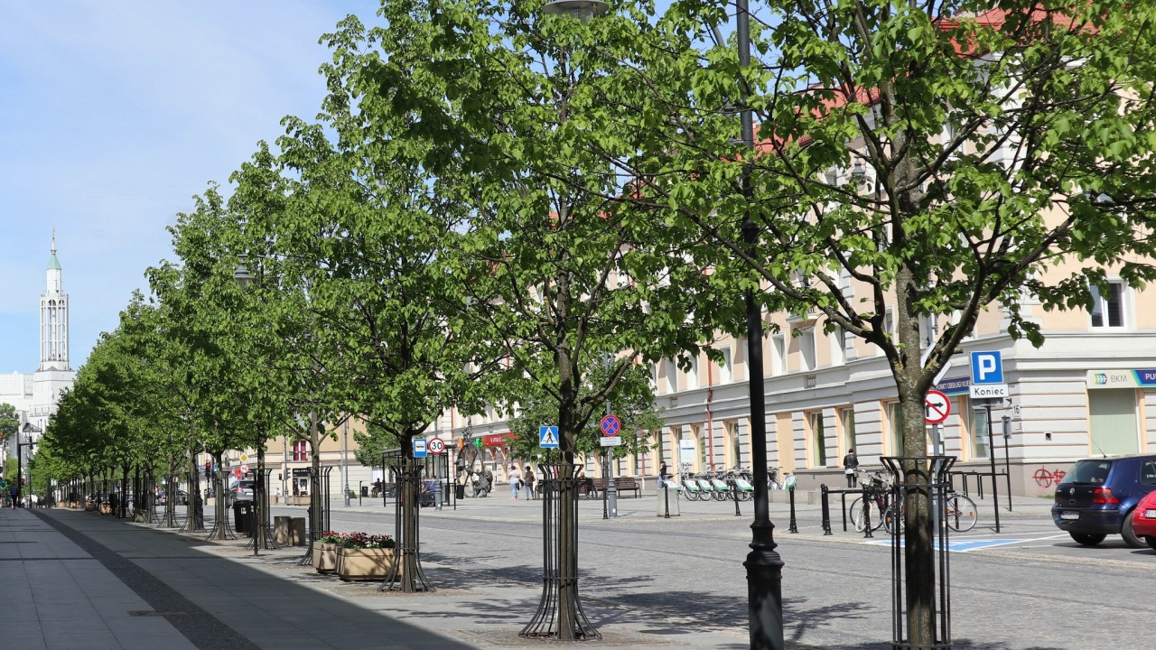 Ulica Lipowa w Białymstoku [fot. UM Białystok]