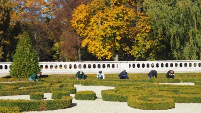 Wiosną będą cieszyć oczy mieszkańców i turystów