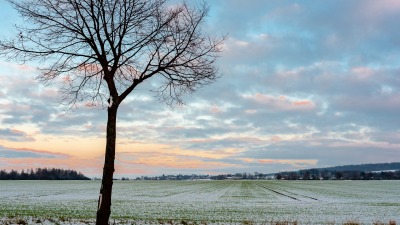 KALENDARIUM. 5 grudnia - poniedziałek robi, bo lubi