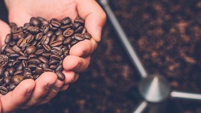 Rozpoznawanie i&nbsp;docenianie wysokiej jakości ziaren kawy - poradnik dla początkujących smakoszy
