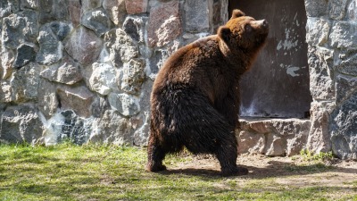 Tłumy białostoczan w&nbsp;Akcencie ZOO