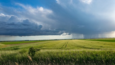 KALENDARIUM. 29 maja - środa działa kulturalnie