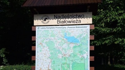 Nowe mapy dla odwiedzających Puszczę Białowieską