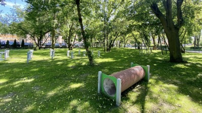 Nowy psi park powstanie w&nbsp;Białymstoku