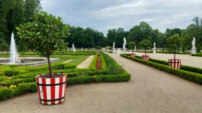 Ogród Branickich. Rośliny oranżeryjne mają zimową przerwę