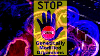 KALENDARIUM. 8 kwietnia przeciw GMO