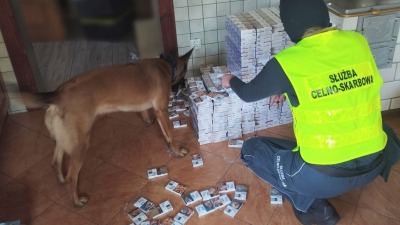Hiena wykryła papierosy pochodzące z&nbsp;przemytu