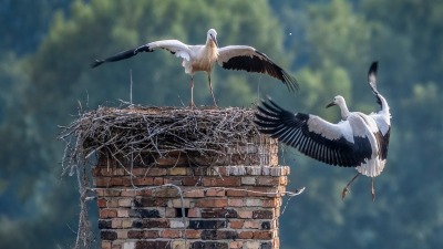 KALENDARIUM. 4 maja - niedziela na&nbsp;szczęście