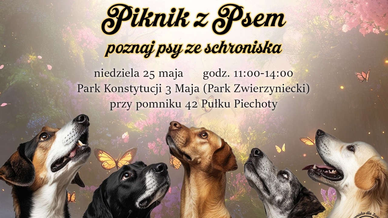 [fot. mat. organiatora]