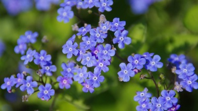 KALENDARIUM. 25 maja - niedziela ci służy