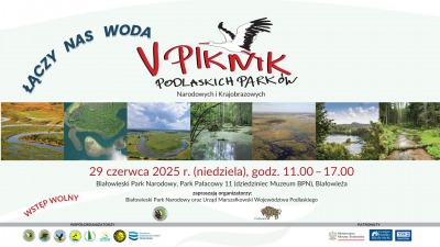 Piknik Podlaskich Parków Narodowych i&nbsp;Krajobrazowych - w&nbsp;tym roku w&nbsp;Białowieży