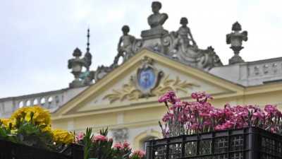 Nowe kwiaty pojawiły się w&nbsp;ogrodach pałacu Branickich