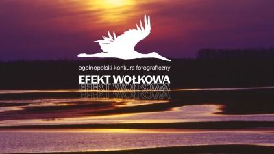 Konkurs "Efekt Wołowa" - poznamy najlepsze fotografie