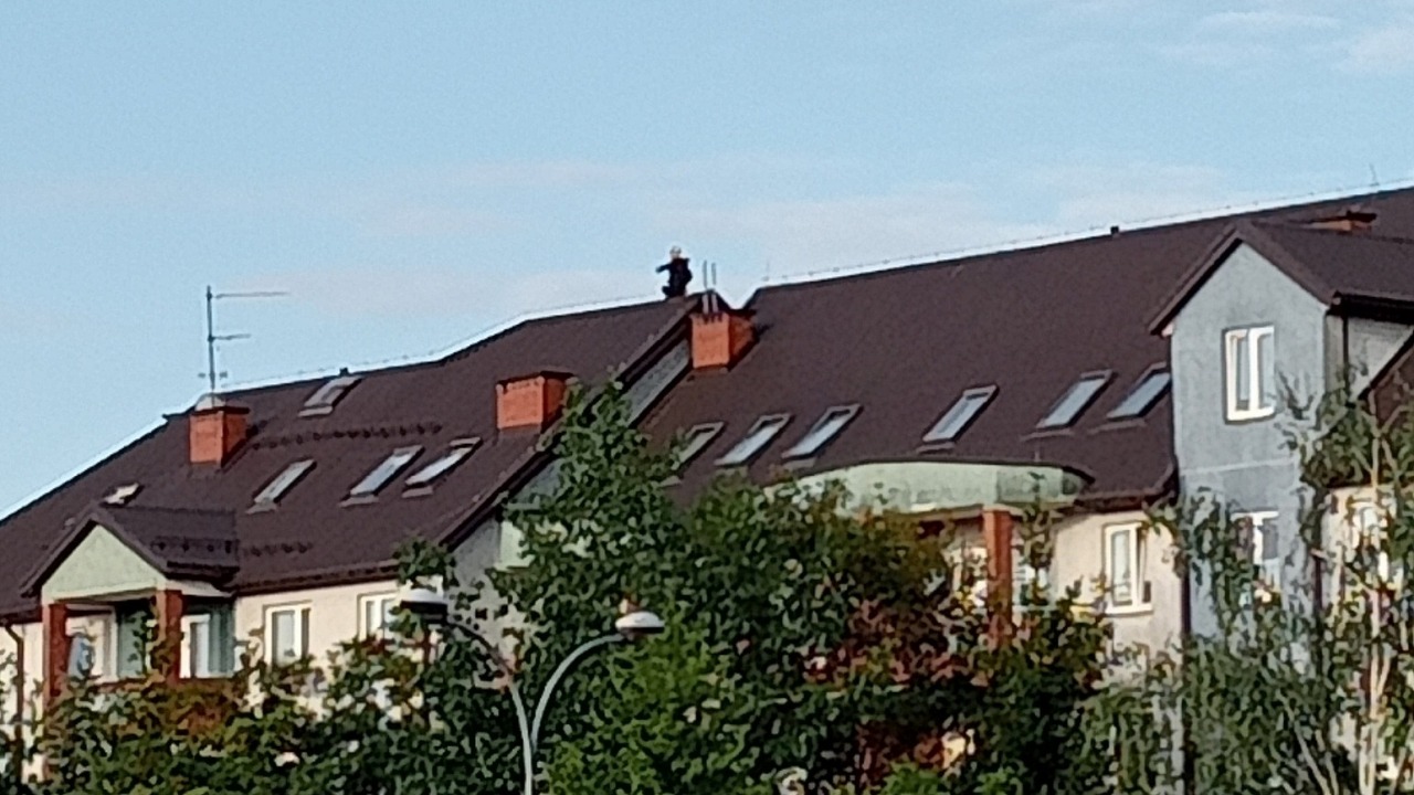 [fot. Kolizyjne Podlasie/FB]