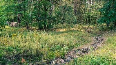Park Bioróżnorodności powstanie w&nbsp;kampusie UwB